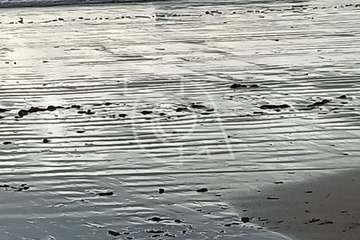 Una lancha neumática con varios jóvenes inmigrantes arriba a la playa de Ojos de Garza/TA.